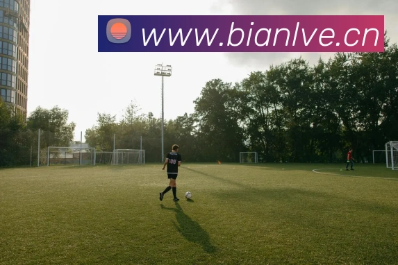 揭秘俄罗斯世界杯四强球队：战术分析与晋级之路全解析